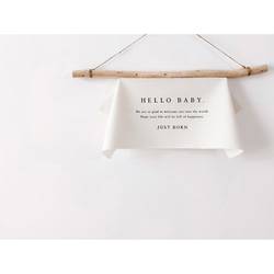 Hello Baby Tapestry - JUST BORN | ニューボーンフォト | バースデー タペストリー 7枚目の画像