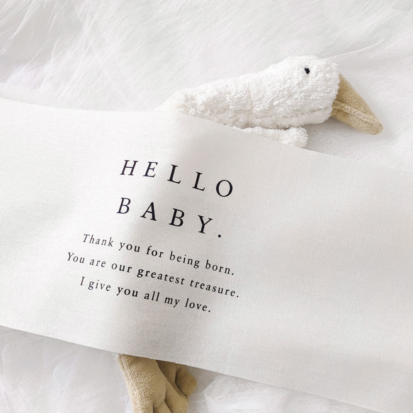 Hello Baby Tapestry | ニューボーンフォト | 誕生日 | バースデー タペストリー 13枚目の画像