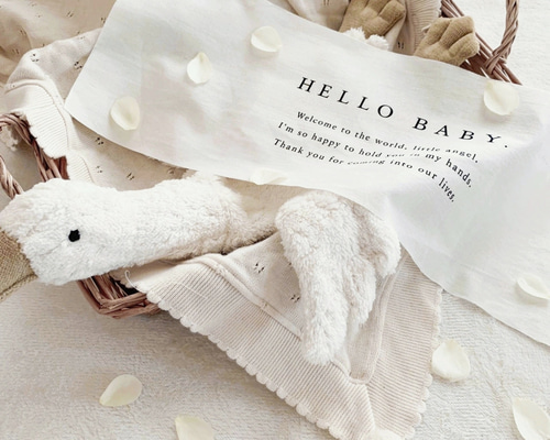 Hello Baby Tapestry | ニューボーンフォト | タペストリー