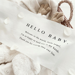 Hello Baby Tapestry | ニューボーンフォト | タペストリー | バースデー タペストリー 2枚目の画像