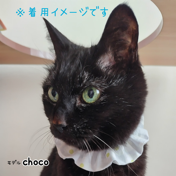 【首周り最大30cm】お花シュシュ(ブルー) 猫シュシュ首輪 プレゼント ギフト 5枚目の画像