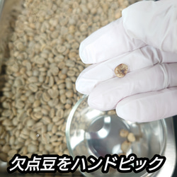 コロンビア スプレモ 100g 直火式焙煎  MOHIRO COFFEE コーヒー  珈琲 2枚目の画像