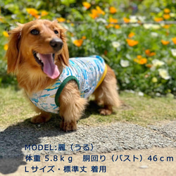 【送料無料】【ヴェルディ】ダックス 小型犬用洋服 綿ノースリーブ 犬服 ダックス プードル チワワ 2枚目の画像