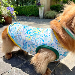 【送料無料】【ヴェルディ】ダックス 小型犬用洋服 綿ノースリーブ 犬服 ダックス プードル チワワ 9枚目の画像