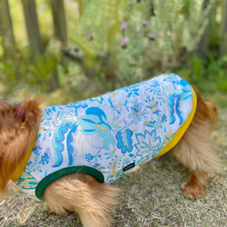 【送料無料】【ヴェルディ】ダックス 小型犬用洋服 綿ノースリーブ 犬服 ダックス プードル チワワ 14枚目の画像