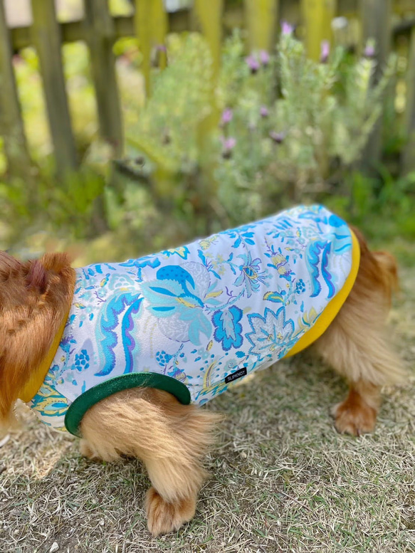 【送料無料】【ヴェルディ】ダックス 小型犬用洋服 綿ノースリーブ 犬服 ダックス プードル チワワ 14枚目の画像