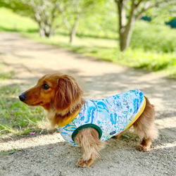 【送料無料】【ヴェルディ】ダックス 小型犬用洋服 綿ノースリーブ 犬服 ダックス プードル チワワ 10枚目の画像