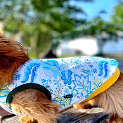 【送料無料】【ヴェルディ】ダックス 小型犬用洋服 綿ノースリーブ 犬服 ダックス プードル チワワ 8枚目の画像