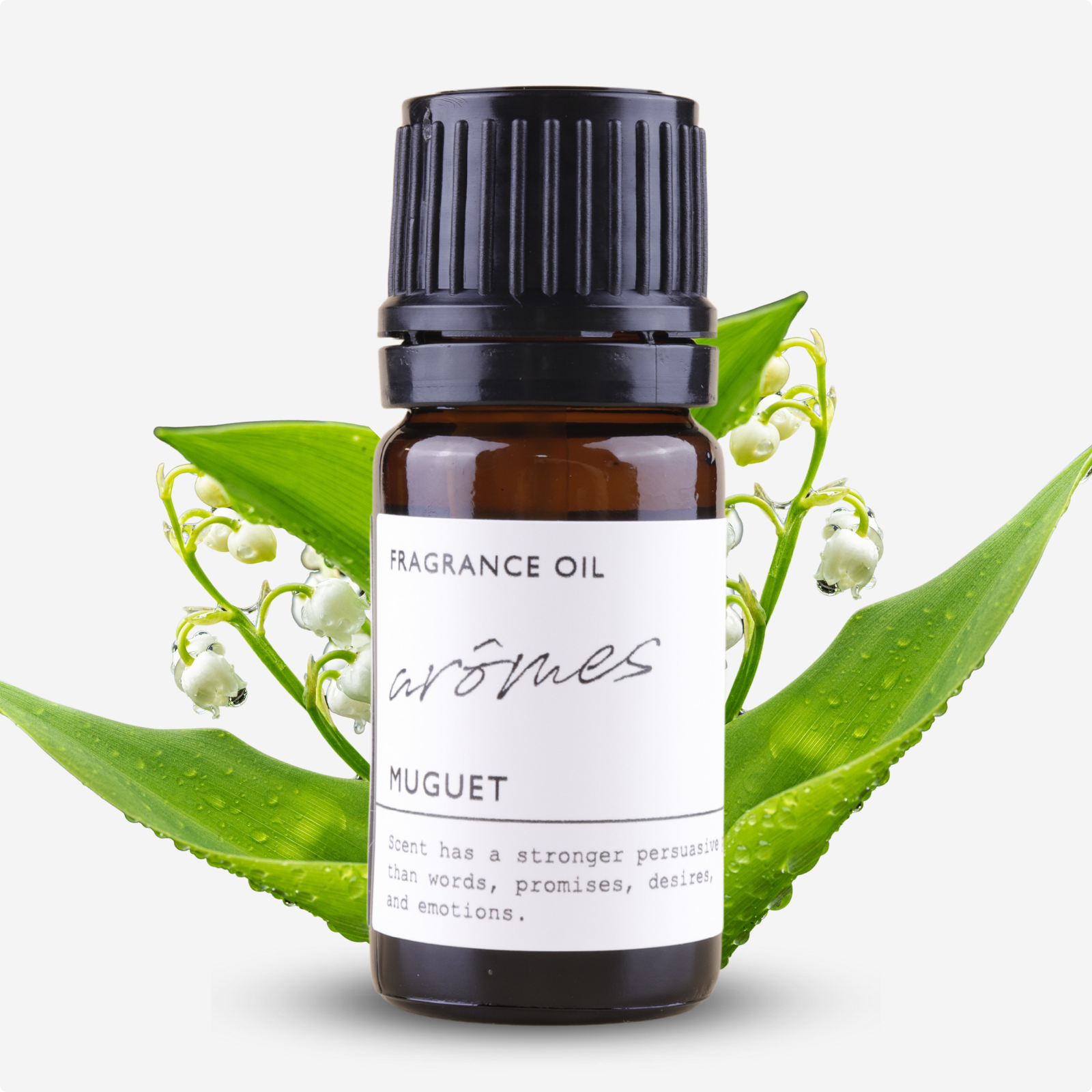 希少  creil montereau  フローラ　MUGUET  スズラン アンティークプレート オーバル皿 スズラン FLORA MUGUET
