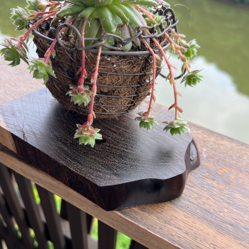 高級 黒檀 コースター 無垢 床柱 希少 木材 木 ウッド ハンドメイド 花