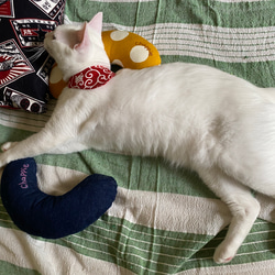 猫のおもちゃ・抱き枕、キッカー・蹴りぐるみ・キャンパス地・デニム地 3枚目の画像
