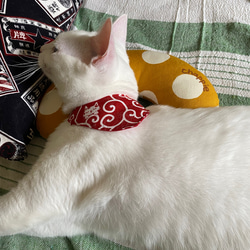 猫のおもちゃ・抱き枕、キッカー・蹴りぐるみ・キャンパス地・デニム地 5枚目の画像