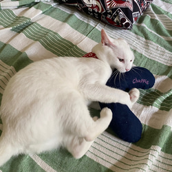 猫のおもちゃ・抱き枕、キッカー・蹴りぐるみ・キャンパス地・デニム地 9枚目の画像