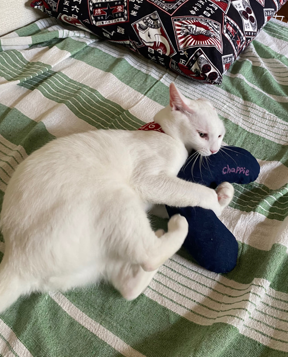 猫のおもちゃ・抱き枕、キッカー・蹴りぐるみ・キャンパス地・デニム地 9枚目の画像