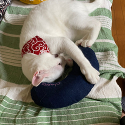 猫のおもちゃ・抱き枕、キッカー・蹴りぐるみ・キャンパス地・デニム地 8枚目の画像