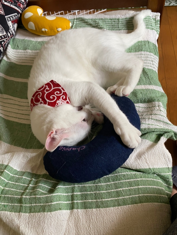 猫のおもちゃ・抱き枕、キッカー・蹴りぐるみ・キャンパス地・デニム地 8枚目の画像