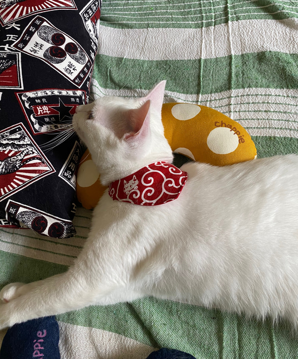 猫のおもちゃ・抱き枕、キッカー・蹴りぐるみ・キャンパス地・デニム地 4枚目の画像