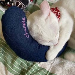猫のおもちゃ・抱き枕、キッカー・蹴りぐるみ・キャンパス地・デニム地 7枚目の画像