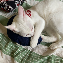 猫のおもちゃ・抱き枕、キッカー・蹴りぐるみ・キャンパス地・デニム地 6枚目の画像