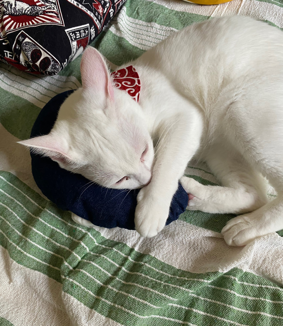猫のおもちゃ・抱き枕、キッカー・蹴りぐるみ・キャンパス地・デニム地 6枚目の画像
