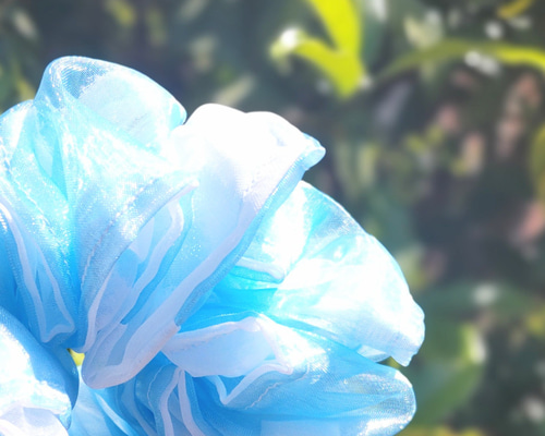 c0a33dcf0c122b526e1134e8c0ef5b