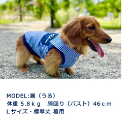 【送料無料】【チェッカード】ダックス　お名前入れ 小型犬用洋服 綿ノースリーブ 犬服 ダックス プードル チワワ 2枚目の画像