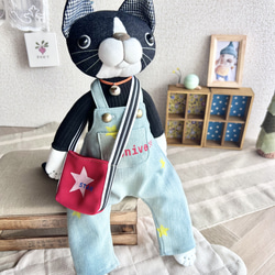 【 全部 選べるねこちゃん スター☆セット❗️】靴下ぬいぐるみ 17枚目の画像