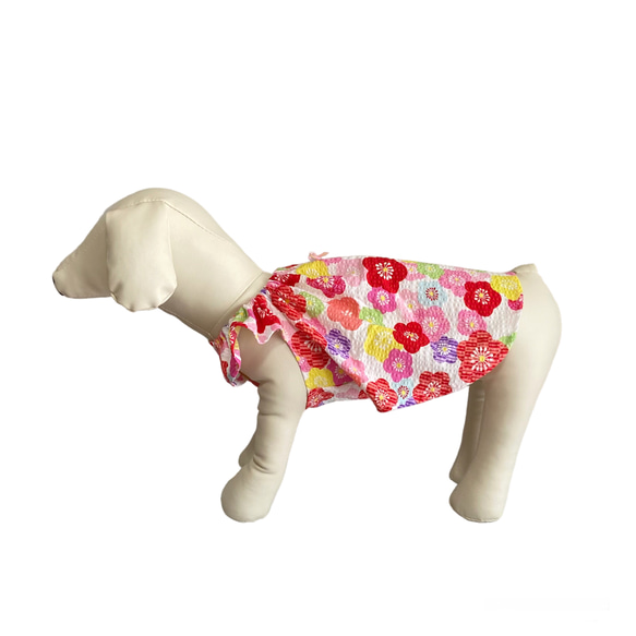 犬服 浴衣風ギャザーフリルキャミソール(ピンク　水色)甚平　浴衣 4枚目の画像
