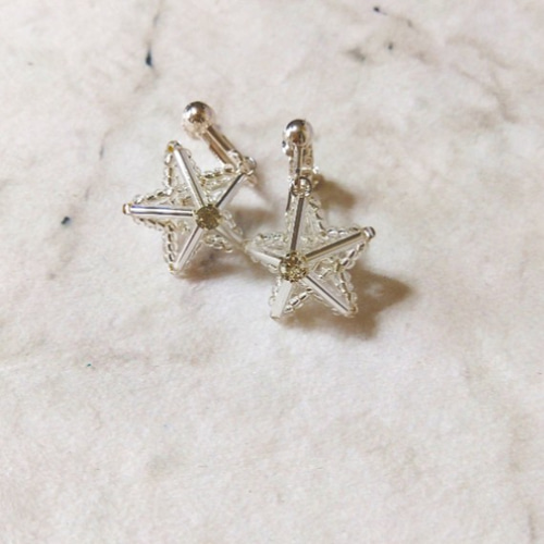 星に願いを イヤリング Silver Star イヤリング