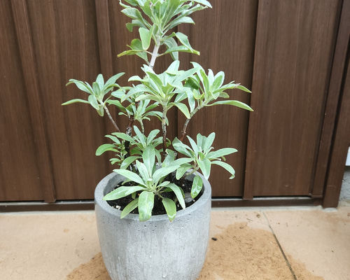 a0740514e483751bcbd334047481e2