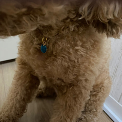 犬、猫　アクセサリー　チョーカー　１５セット 3枚目の画像