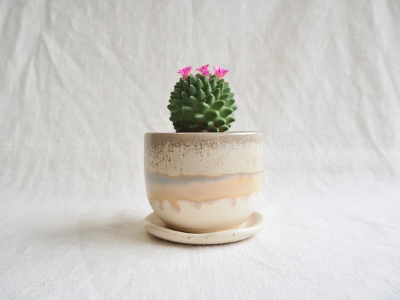 植木鉢 多肉植物 サボテン Grey Sand その他インテリア雑貨 CETHLO