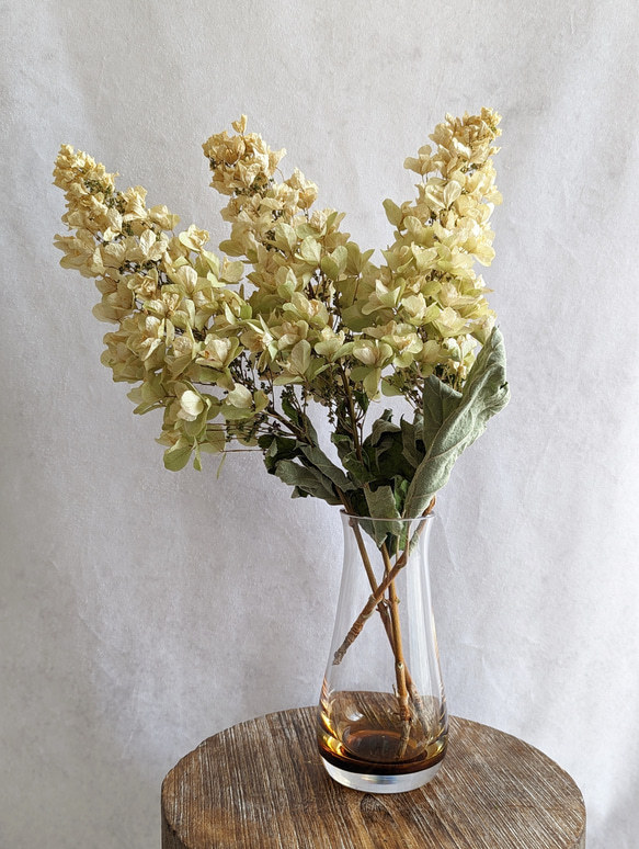 アジサイ　アンティーク　クラッシック　ビックリボン　スワッグ  ドライフラワー アジサイ アンティーク クラッシック ビックリボン スワッグ ドライ