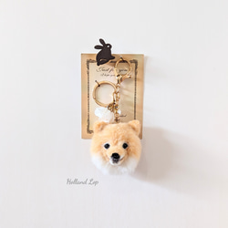 ✽✽✽SALE✽✽✽キーホルダー ポメラニアン キーホルダー ❁てんと