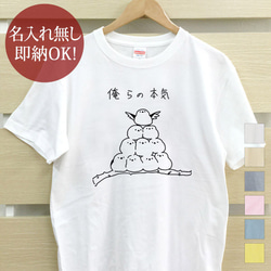 【全国送料無料】俺の本気 シマエナガ 鳥 レディース メンズ Tシャツ おもしろTシャツ 綿100% カラー7色 1枚目の画像