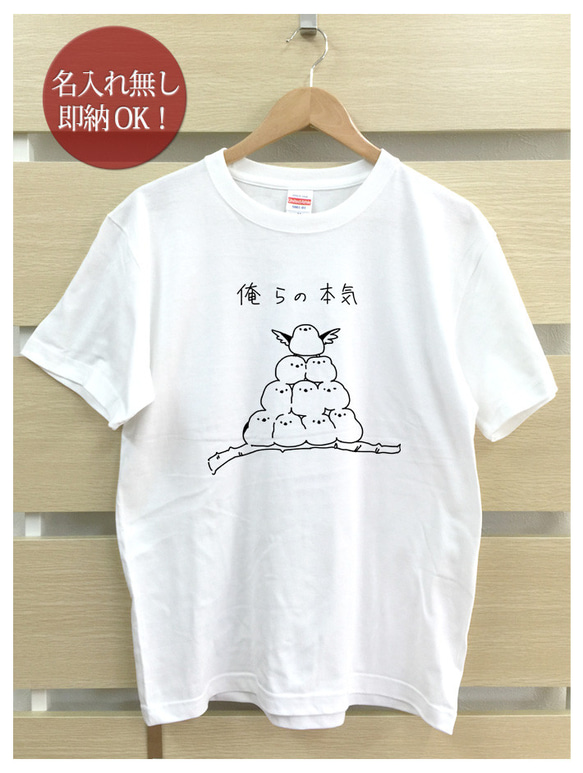 【全国送料無料】俺の本気 シマエナガ 鳥 レディース メンズ Tシャツ おもしろTシャツ 綿100% カラー7色 2枚目の画像