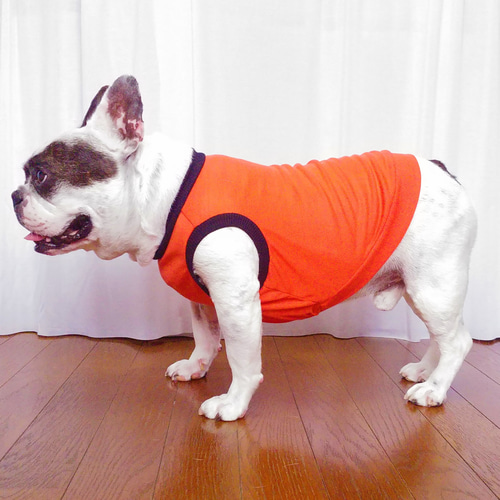 フレブル服 タンクトップ ブラッドオレンジ 中型犬 ペット服