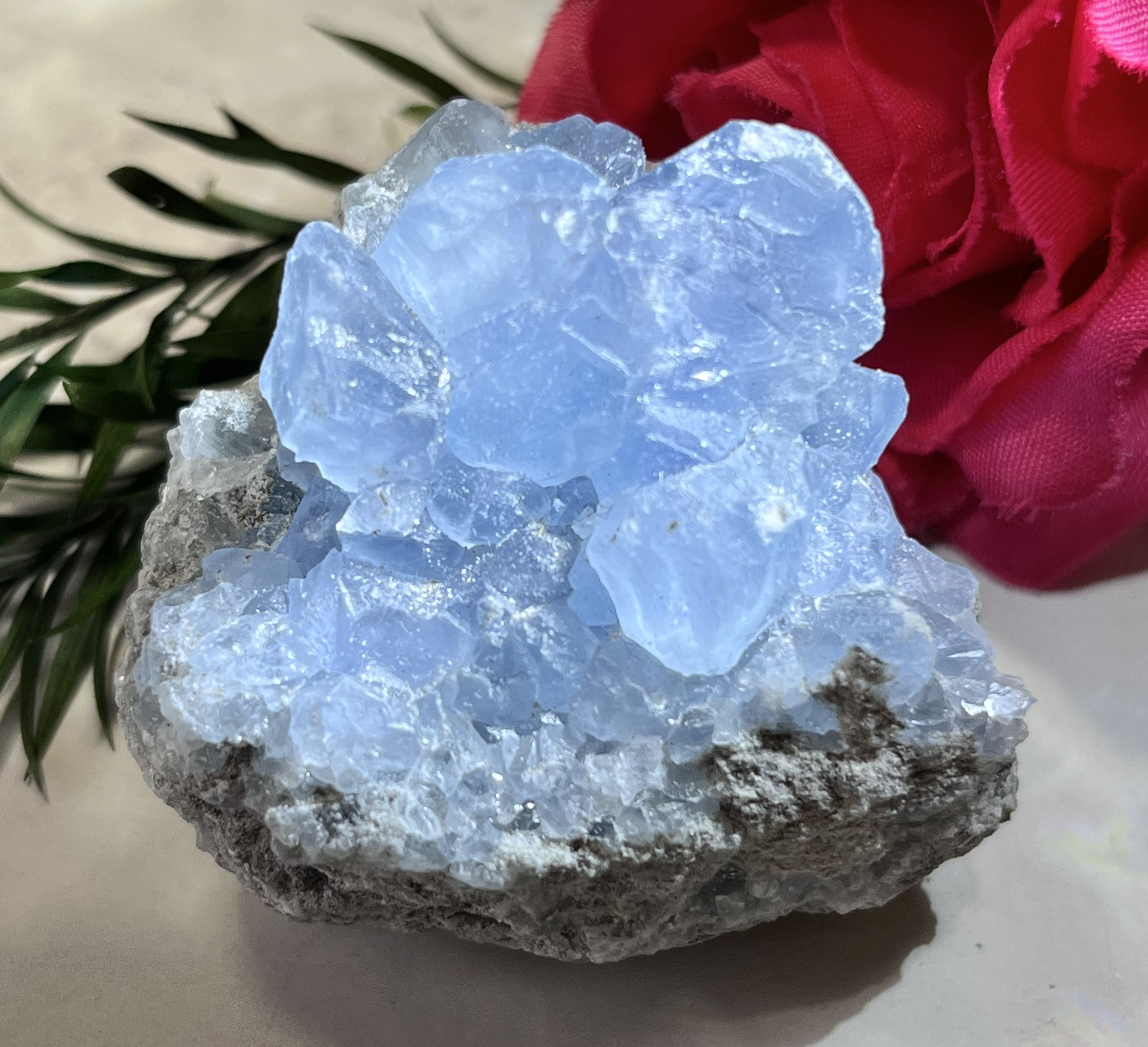 春先取りの 天使の石໒꒱✨ セレスタイト 天青石 クラスター 原石 ジオード