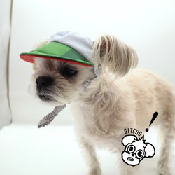 ドッグキャップ-水色xスイカ（耳出し）犬用帽子 6枚目の画像