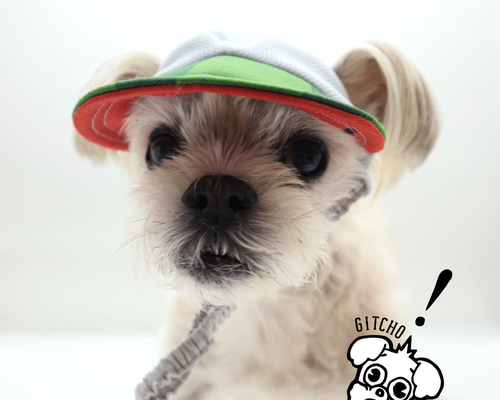 【ネックガードあり】新品未使用　しぃちゃん 遮光撥水キャップ アイボリー ネックガードあり 新品未使用 しぃちゃん 遮光撥水キャップ