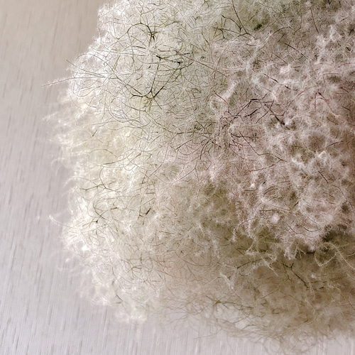 スモークツリー もふもふ フライングリース ③ L φ33cm 厚み20cm