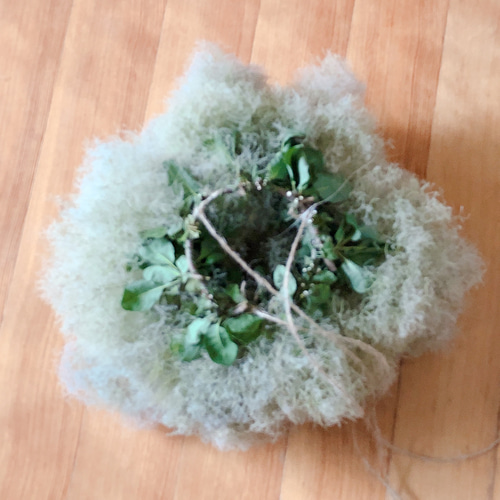スモークツリー もふもふ フライングリース ③ L φ33cm 厚み20cm