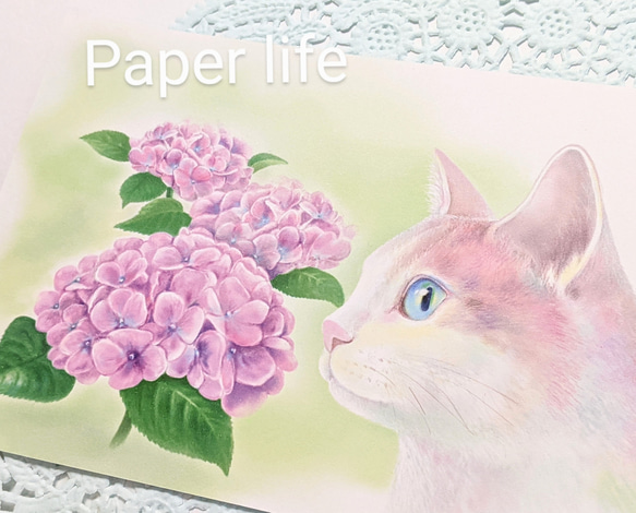 ❺花と猫 (３枚セット) 2枚目の画像