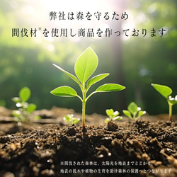  第19張的照片