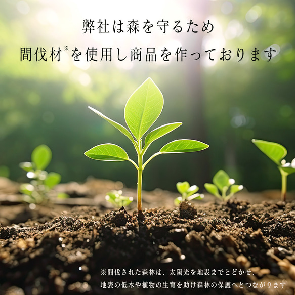  第19張的照片