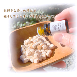  第12張的照片