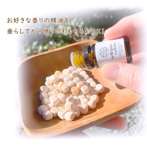  第12張的照片