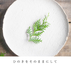  第20張的照片
