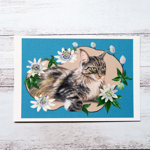 【送料無料】 ポストカード3枚セット〈花と猫〉タチアオイ・トケイソウ 絵画