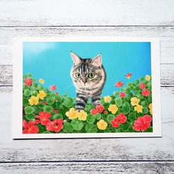 ポストカード３枚セット〈花と猫〉タチアオイ・トケイソウ・キンレンカ 4枚目の画像